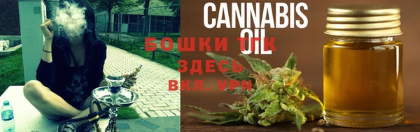 гидра Бородино