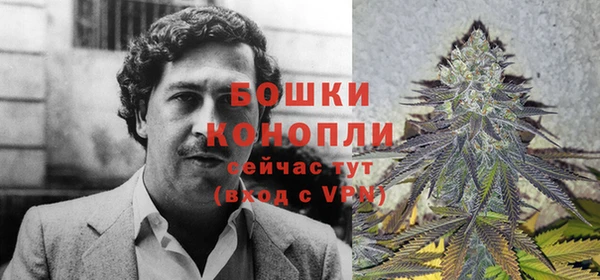 МДПВ Богородицк