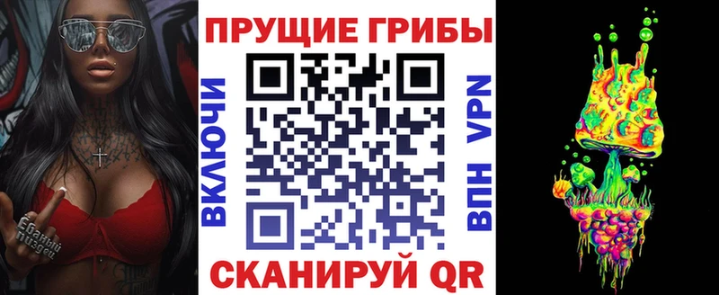 Псилоцибиновые грибы Psilocybe  закладка  Бор 