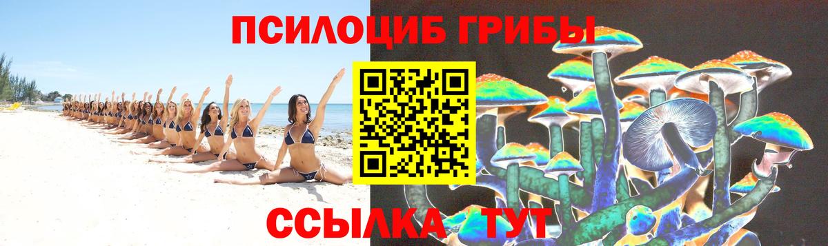Галлюциногенные грибы ЛСД Бор